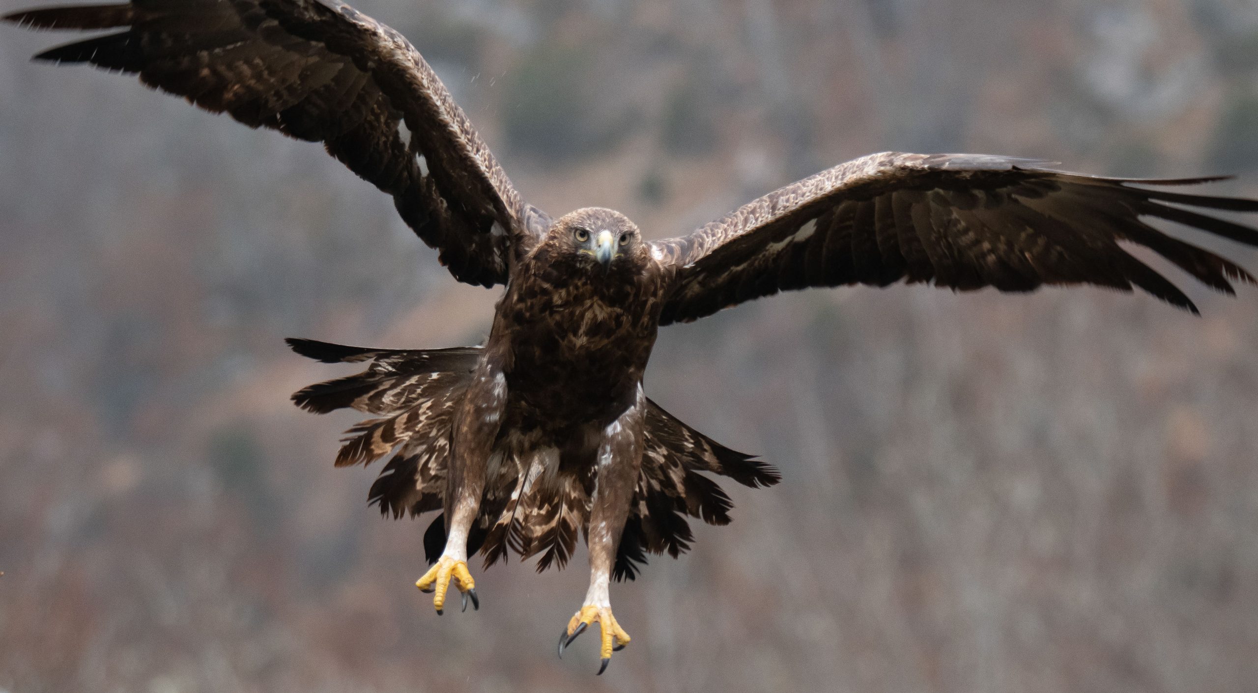 Un fin de semana por las montañas de Riaño